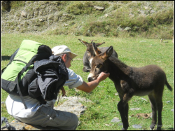 10-Tusheti-Dreharbeiten (17).jpg